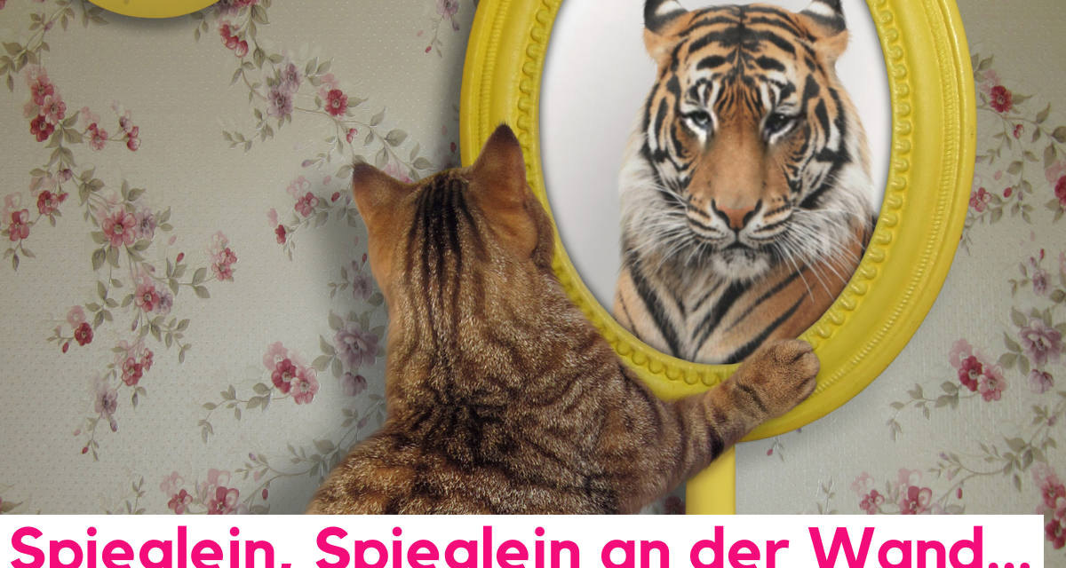 Karriere-Blog Katze schaut in den Spiegel und sieht einen Tiger